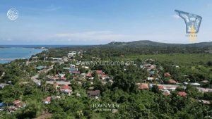 Town View