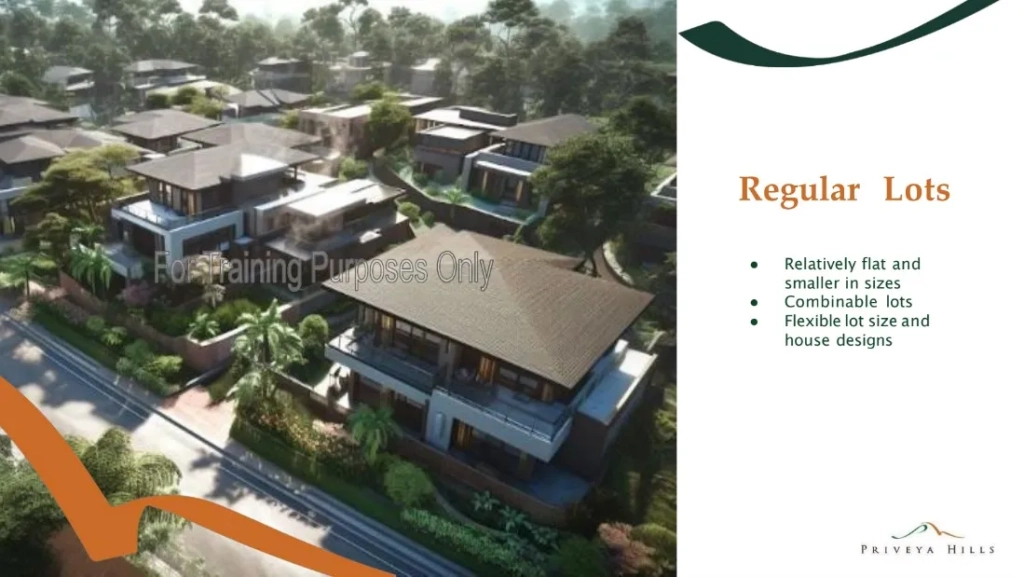 Priveya Hills Regular Lots Render 1