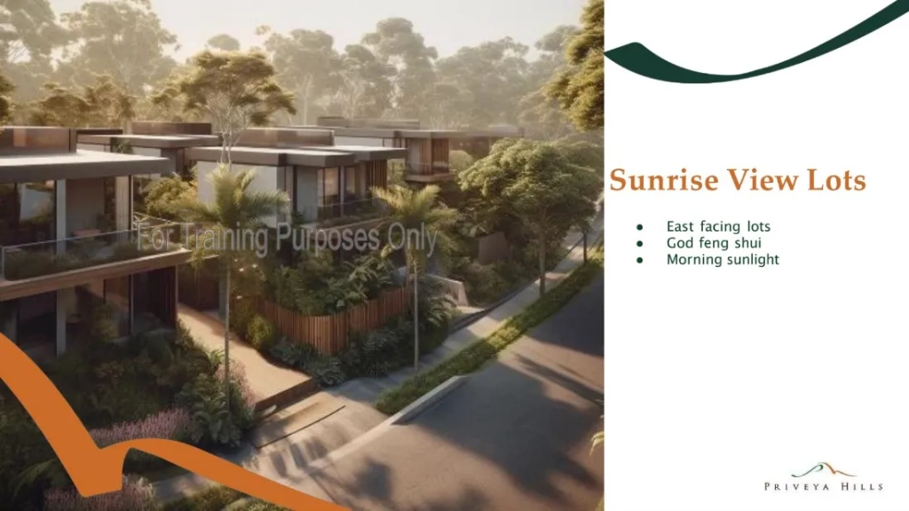 Priveya Hills Sunrise View Lots Render 1
